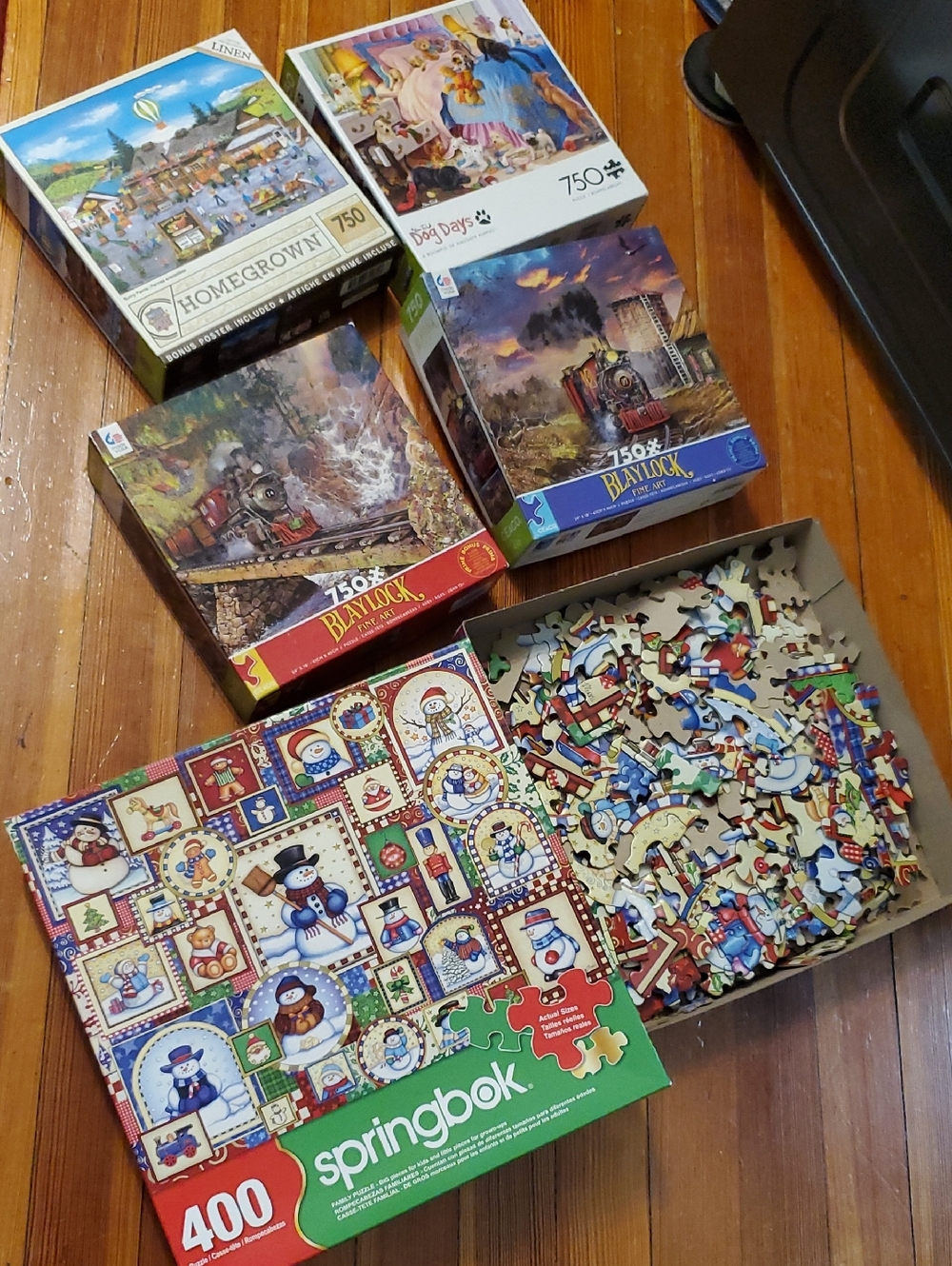 Jigsaw Puzzle 5 Sets Bundle